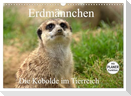 Erdmännchen - Die Kobolde im Tierreich (Wandkalender 2024 DIN A3 quer), CALVENDO Monatskalender