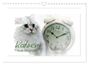 Katzen ¿ Treue Begleiter (CH - Version) (Wandkalender 2024 DIN A4 quer), CALVENDO Monatskalender