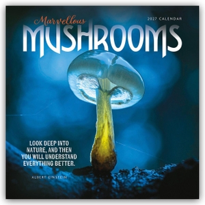 Carousel Calendar. Mushrooms - Pilze 2027 - Wand-Kalender - Original Carousel-Kalender [Mehrsprachig] [Kalender]. Browntrout Verlags GmbH, 2026.