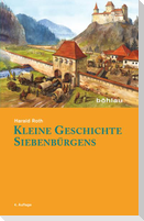 Kleine Geschichte Siebenbürgens