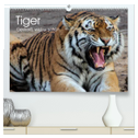 Tiger. Gestreift, wild u. schön (hochwertiger Premium Wandkalender 2024 DIN A2 quer), Kunstdruck in Hochglanz