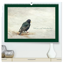 Stare und Weisheiten (hochwertiger Premium Wandkalender 2024 DIN A2 quer), Kunstdruck in Hochglanz