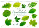 Grüner Bastelkalender für Naturfreunde (Wandkalender 2024 DIN A4 quer), CALVENDO Monatskalender
