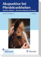 Akupunktur bei Pferdekrankheiten