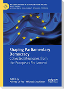Shaping Parliamentary Democracy