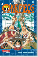 One Piece 15. Volle Fahrt voraus