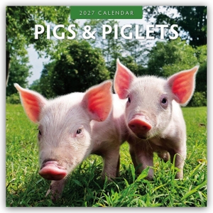 Red, Robin. Pigs & Piglets - Schweine & Ferkel 2027 - 16-Monatskalender - Original Red Robin Publishing Ltd-Kalender [Mehrsprachig] [Kalender]. Browntrout Verlags GmbH, 2026.