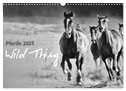 Pferde 2025 Wild Thing (Wandkalender 2025 DIN A3 quer), CALVENDO Monatskalender