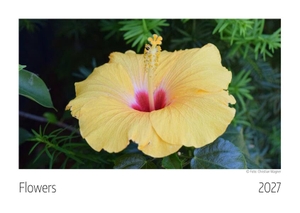 Flowers Kalender 2027. Scantinental Business Age, 2026.