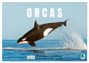 Orcas: Schwarz-weiße Giganten (Tischkalender 2025 DIN A5 quer), CALVENDO Monatskalender