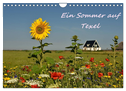 Ein Sommer auf Texel (Wandkalender 2025 DIN A4 quer), CALVENDO Monatskalender