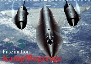 Stanzer, Elisabeth. Faszination Kampfflugzeuge (Wandkalender 2022 DIN A2 quer) - Die faszinierende Technik der militärischen Flugzeuge (Monatskalender, 14 Seiten ). Calvendo, 2021.