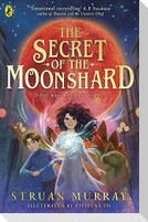 The Secret of the Moonshard