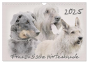 Französische Hirtenhunde 2025 (Wandkalender 2025 DIN A4 quer), CALVENDO Monatskalender