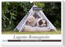 Lagotto Romagnolo - Spiel und Spaß in der Welpenzeit (Wandkalender 2025 DIN A3 quer), CALVENDO Monatskalender