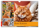 Rote Katzen (Wandkalender 2025 DIN A4 quer), CALVENDO Monatskalender