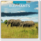 Elephants - Elefanten 2027 - 16-Monatskalender