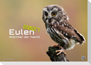 Eulen - Wächter der Nacht - 2027 - Kalender DIN A3