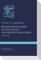 Brains Confounded by the Ode of Abū Shādūf Expounded