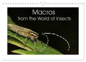 Macros from the World of Insects (Wall Calendar 2024 DIN A4 landscape), CALVENDO 12 Month Wall Calendar - The realm of insects is huge. This calendar allows a fascinating look inside the details of this world.. Calvendo, 2023.