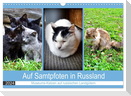 Auf Samtpfoten in Russland - Museums-Katzen auf russischen Landgütern (Wandkalender 2024 DIN A3 quer), CALVENDO Monatskalender