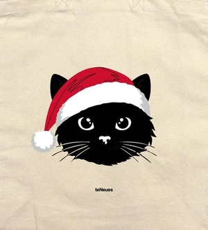 Weihnachtskatze. teNeues Verlag GmbH, 2026.