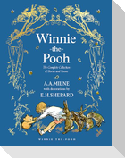 WINNIE-THE-POOH_WINNIE-THE PLC