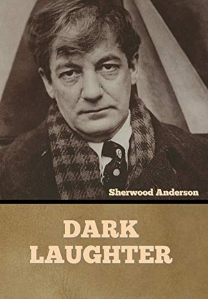Anderson, Sherwood. Dark Laughter. Bibliotech Press, 2022.