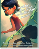 Troubles and Doubles and Reflections Askew