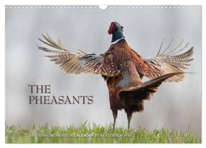 Gerlach GDT, Ingo. Emotional Moments: The pheasants. UK-Version (Wall Calendar 2025 DIN A3 landscape), CALVENDO 12 Month Wall Calendar - The courtship of the pheasants is exotic and dramatic at the same time. Ingo Gerlach GDT has held in this beautiful images.. Calvendo, 2024.