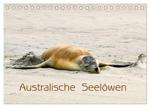 Drafz, Silvia. Australische Seelöwen (Tischkalender 2024 DIN A5 quer), CALVENDO Monatskalender - In der Seelöwen-Kolonie von Kangaroo Island. Calvendo, 2023.