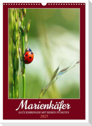 Marienkäfer, Glücksbringer mit sieben Punkten (Wandkalender 2025 DIN A3 hoch), CALVENDO Monatskalender