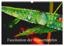 Faszination Wassertropfen (Wandkalender 2025 DIN A3 quer), CALVENDO Monatskalender