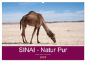 Sinai - Natur Pur (Wandkalender 2024 DIN A2 quer), CALVENDO Monatskalender