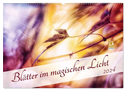 Blätter im magischen Licht (Wandkalender 2024 DIN A2 quer), CALVENDO Monatskalender