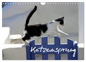 Katzensprung (Wandkalender 2024 DIN A4 quer), CALVENDO Monatskalender