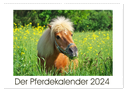 Der Pferdekalender (Wandkalender 2024 DIN A2 quer), CALVENDO Monatskalender