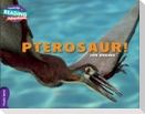 Cambridge Reading Adventures Pterosaur! Purple Band