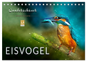 Wunderschöner Eisvogel (Tischkalender 2024 DIN A5 quer), CALVENDO Monatskalender