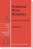 Nonlinear Wave Dynamics