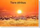 Tiere Afrikas