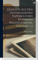 Gedichte Aus Den Hinterlassenen Papeiren Eines Reisenden Waldhornisten, Volumes 1-2