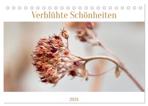 Spiess, Petra. Verblühte Schönheiten (Tischkalender 2024 DIN A5 quer), CALVENDO Monatskalender - Die Ästhetik verblühter Pflanzen. Calvendo Verlag, 2022.