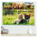 Tierkinder auf dem Land (hochwertiger Premium Wandkalender 2025 DIN A2 quer), Kunstdruck in Hochglanz