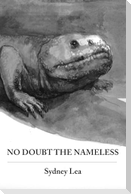 No Doubt the Nameless