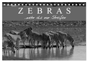 Zebras - Mehr als nur Streifen (Tischkalender 2025 DIN A5 quer), CALVENDO Monatskalender