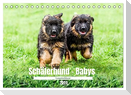 Langstockhaar - Schäferhund - Babys (Tischkalender 2024 DIN A5 quer), CALVENDO Monatskalender