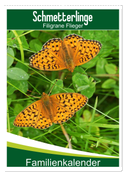 Schmetterlinge: Filigrane Flieger / Familienkalender (Wandkalender 2024 DIN A2 hoch), CALVENDO Monatskalender