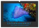 Unterwasserwelt - Das Leben am Korallenriff (Wandkalender 2024 DIN A3 quer), CALVENDO Monatskalender