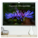 Prachtvolle Blütenporträts (hochwertiger Premium Wandkalender 2025 DIN A2 quer), Kunstdruck in Hochglanz